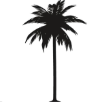 The Coconut Tree