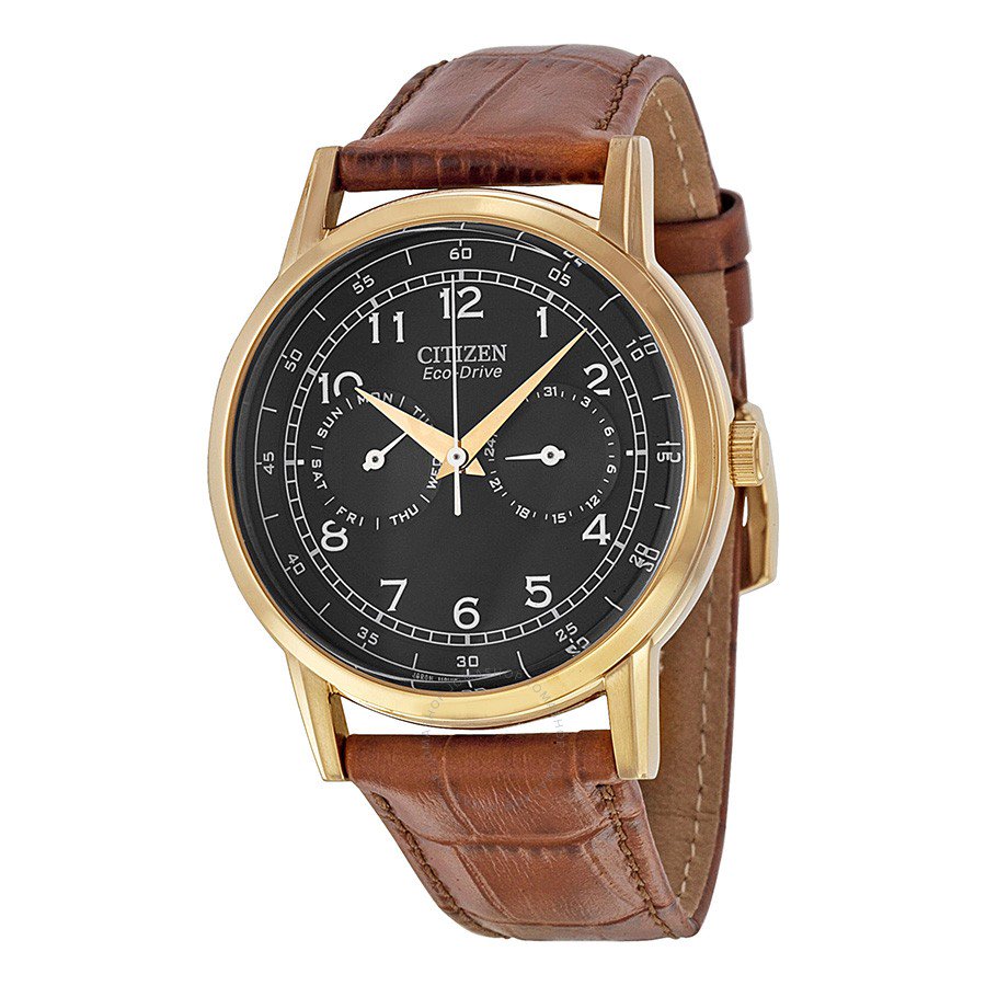 Citizen Eco-Drive Black Dial Leather Strap Men Watch AO9003-08E