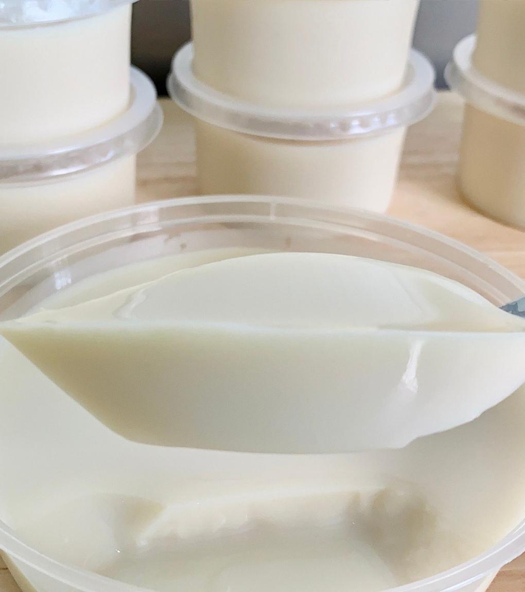 2 Ingredients Soy Milk Pudding YoRipe