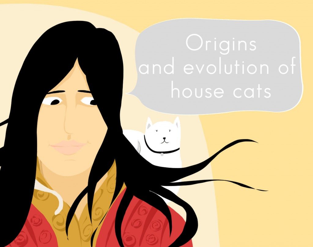 Origin And Evolution of House Cats YourDOST Blog