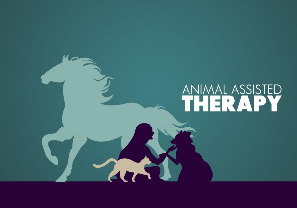 Animal Assisted Therapy What? How? and Why?