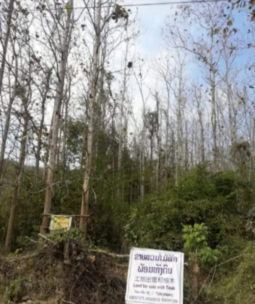 Residential Land for Sale in Luang Prabang Luang Prabang ID 77238