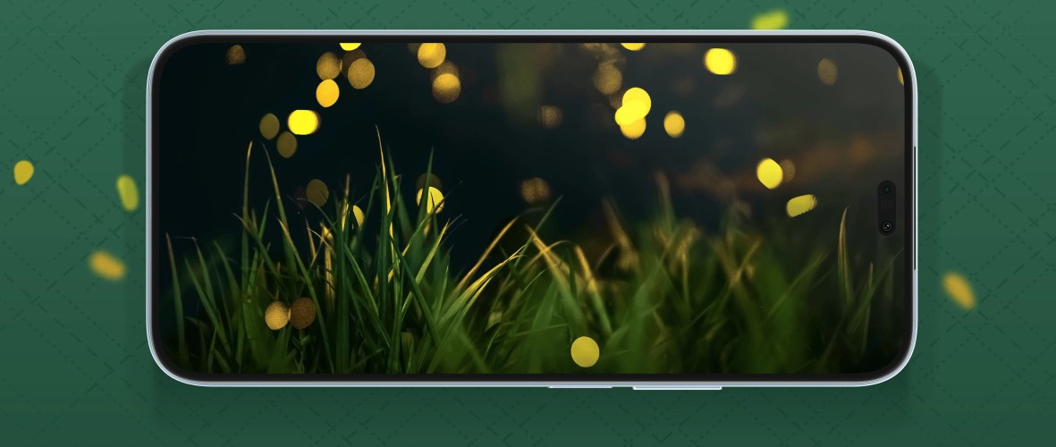 honor x8b 4G malaysia dimming display