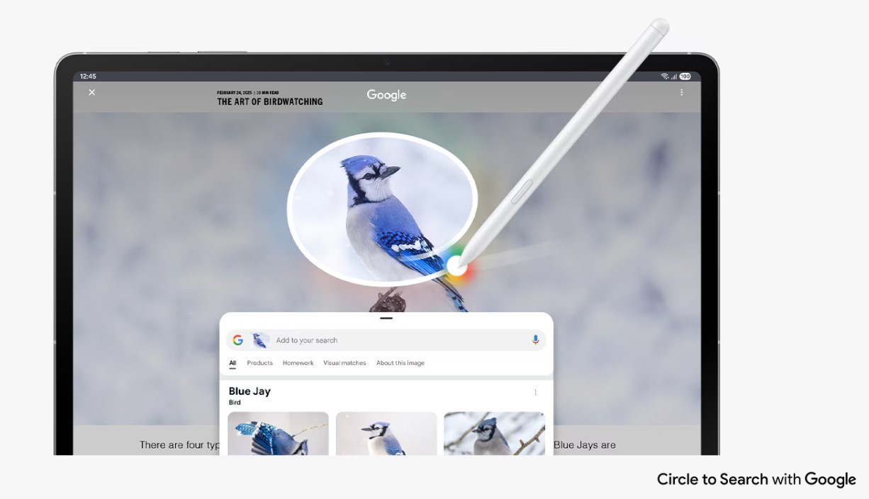 Samsung Galaxy Tab S10 FE+ malaysia circle to search
