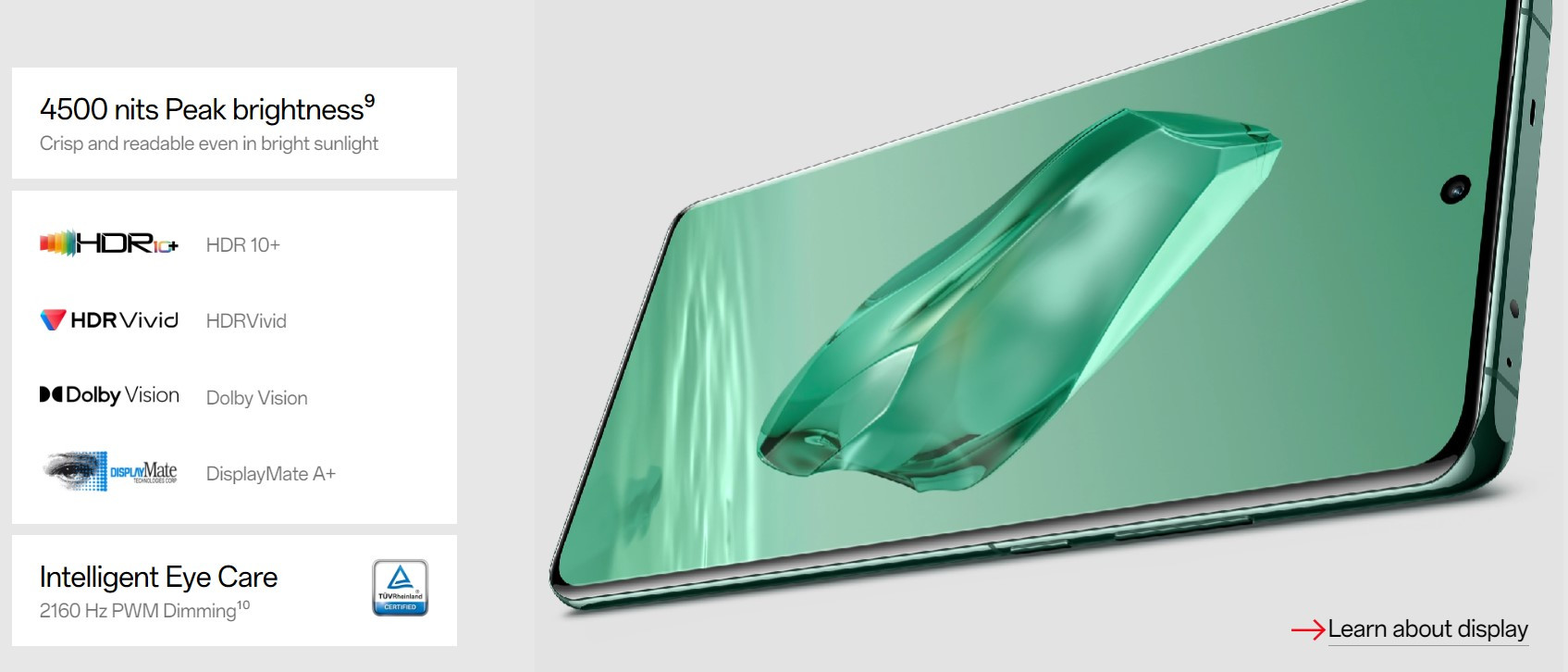 oneplus 12 display specs