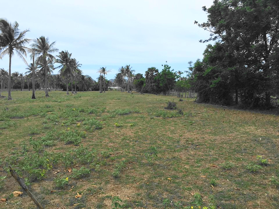 Land For Sale near Beach at Dolphin Bay, Sam Roi Yod